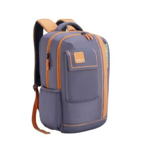American Tourister Sest 3.0 Style 02 | 30L Backpack | School Bag | 3 Compartments | School & College Backpack for Girls and Boys | Spacious Interiors | Grey | 1 Yr Global Warranty